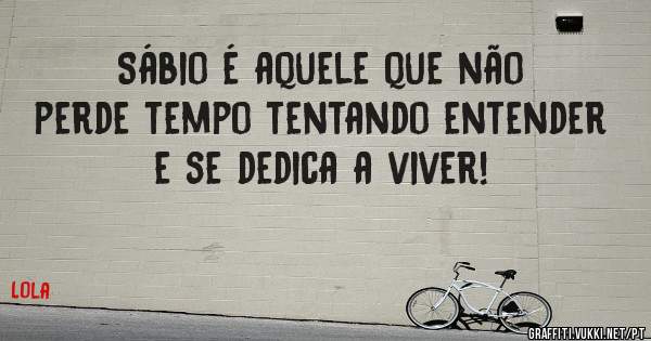 Sábio é aquele que não perde tempo tentando entender e se dedica a viver!