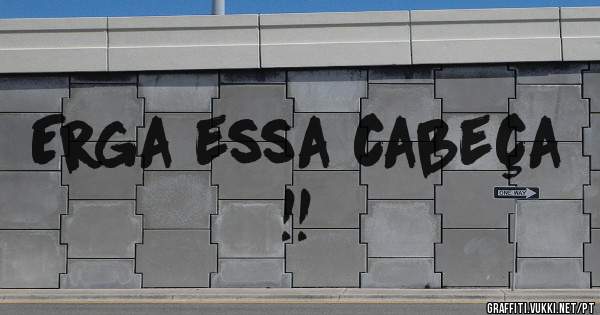 Erga essa cabeça !!