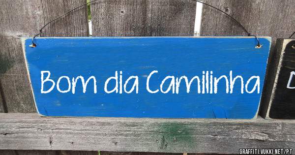 Bom dia Camilinha 