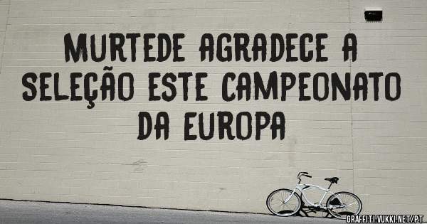 Murtede agradece a Seleção este Campeonato da Europa 

