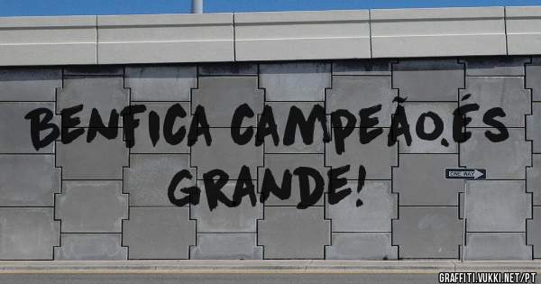 Benfica campeão.És grande!