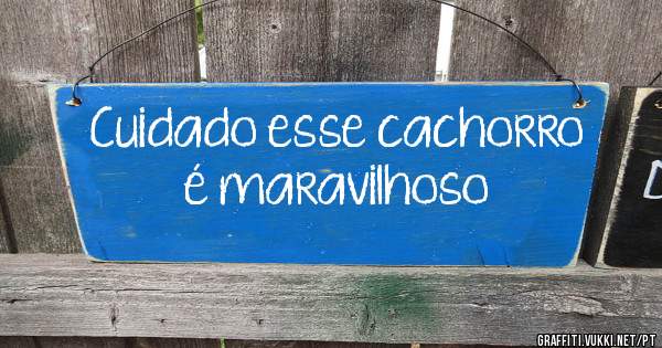 Cuidado esse cachorro é maravilhoso