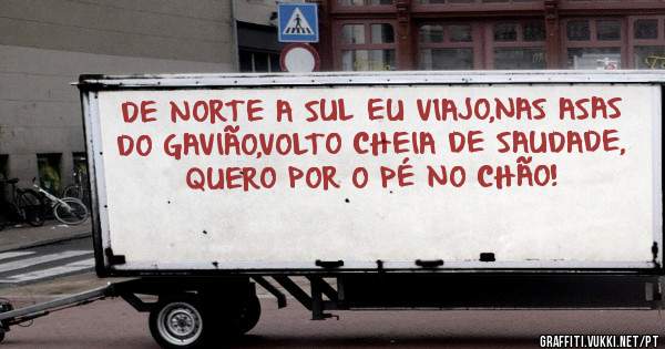 DE NORTE A SUL EU VIAJO,NAS ASAS DO GAVIÃO,VOLTO CHEIA DE SAUDADE, QUERO POR O PÉ NO CHÃO!