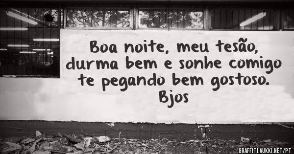 Boa noite, meu tesão, durma bem e sonhe comigo te pegando bem gostoso. Bjos