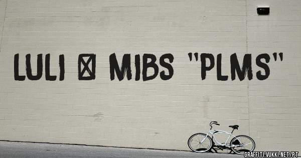 LULI + MIBS ''PLMS''