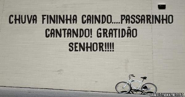 Chuva fininha caindo....passarinho cantando! Gratidão Senhor!!!!