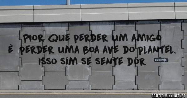 Pior que perder um amigo é  perder uma boa ave do plantel. Isso sim se sente dor