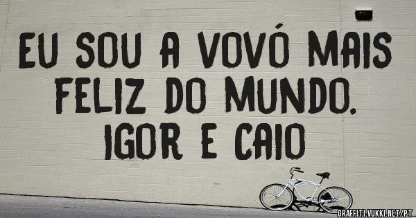 Eu sou a vovó mais feliz do mundo.
Igor e Caio 