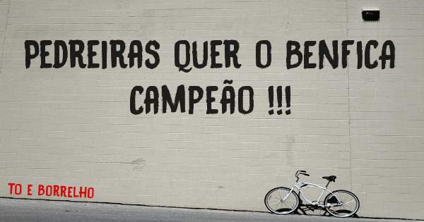 Pedreiras quer o BENFICA Campeão !!! 