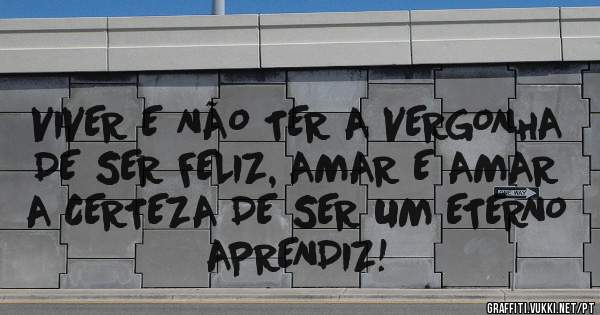 VIVER E NÃO TER A VERGONHA DE SER FELIZ, AMAR E AMAR A CERTEZA DE SER UM ETERNO APRENDIZ!