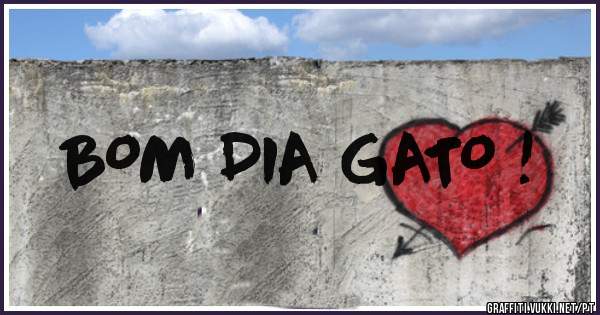 BOM DIA GATO ! 