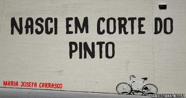 Nasci em Corte do Pinto