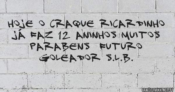 HOJE O CRAQUE Ricardinho já faz 12 aninhos muitos parabens  futuro goleador S.L.B.