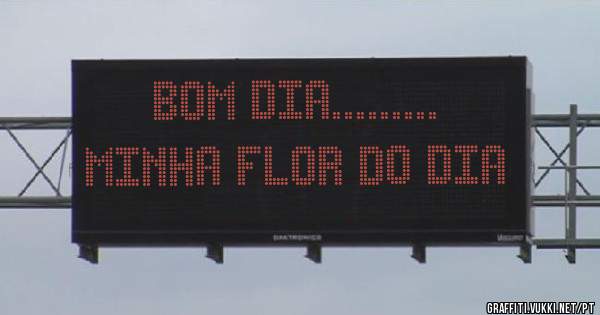 Bom dia.........



 minha flor do dia 