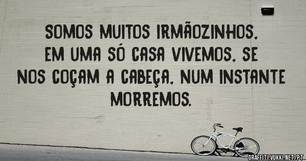 Somos muitos irmãozinhos, em uma só casa vivemos, se nos coçam a cabeça, num instante morremos. 