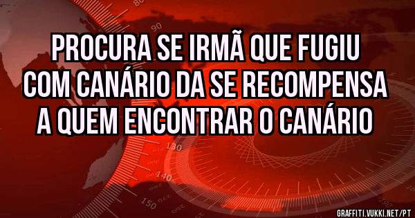 Procura se irmã que fugiu com canário da se recompensa a quem encontrar o canário 