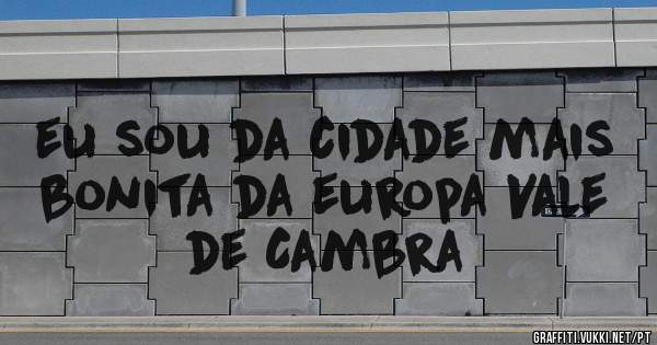 eu sou da cidade mais bonita da europa Vale de Cambra