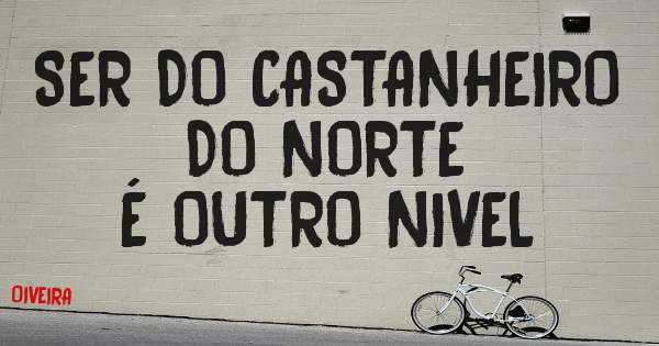 SER DO CASTANHEIRO DO NORTE
É OUTRO NIVEL