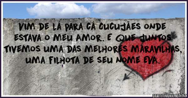 Vim de lá para cá Cucujães onde estava o meu Amor. E que juntos tivemos uma das melhores maravilhas, uma filhota de seu nome EVA.