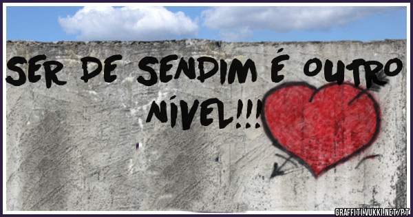 SER DE SENDIM É OUTRO NÍVEL!!!