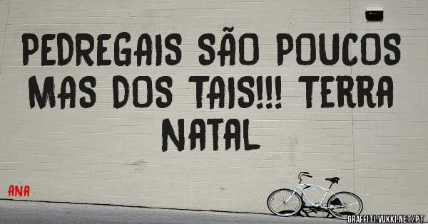 PEDREGAIS SÃO POUCOS MAS DOS TAIS!!! Terra Natal 