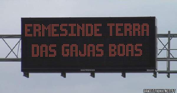 Ermesinde terra das gajas boas