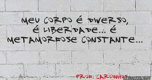 MEU CORPO É DIVERSO, É LIBERDADE... É METAMORFOSE CONSTANTE...