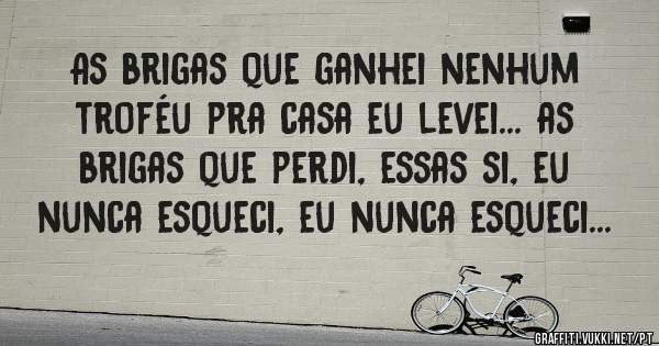 As brigas que ganhei nenhum troféu pra casa eu levei... as brigas que perdi, essas si, eu nunca esqueci, eu nunca esqueci...