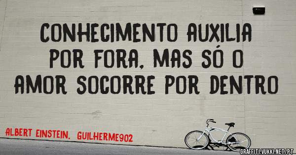 Conhecimento auxilia por fora, mas só o amor socorre por dentro