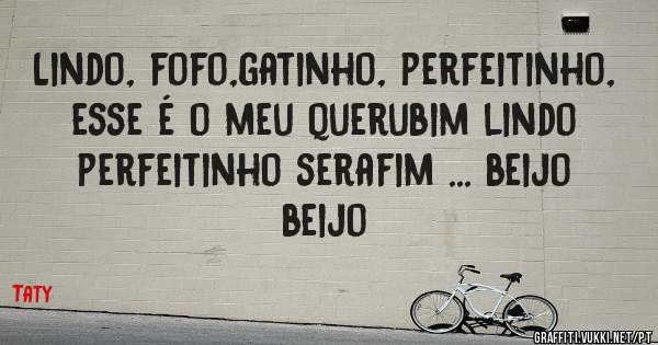 Lindo, fofo,gatinho, perfeitinho, esse é o meu querubim lindo perfeitinho serafim ... beijo beijo