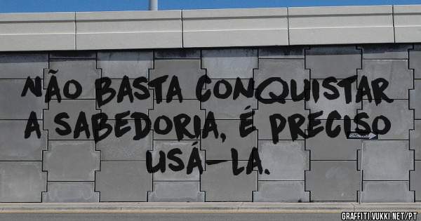 Não basta conquistar a sabedoria, é preciso usá-la.