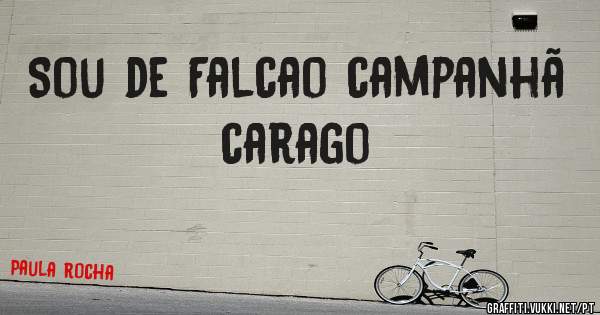 Sou de Falcao campanhã  carago
