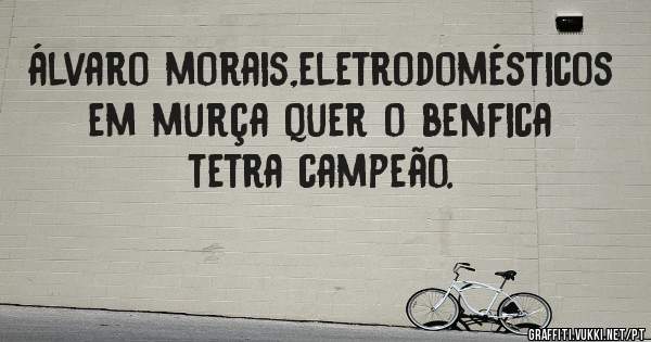 álvaro morais,eletrodomésticos em murça quer o benfica tetra campeão.
