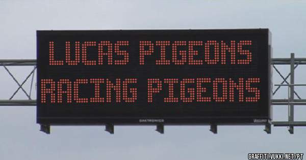 Lucas Pigeons 
Racing Pigeons
