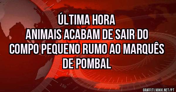 Última hora
Animais acabam de sair do compo pequeno rumo ao Marquês de pombal