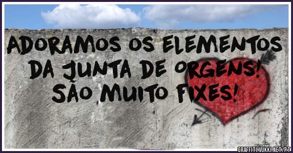 Adoramos os elementos da Junta de Orgens! São muito fixes!