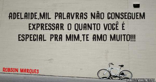 Adelaide,mil palavras não conseguem expressar o quanto você é especial pra mim,te amo muito!!!