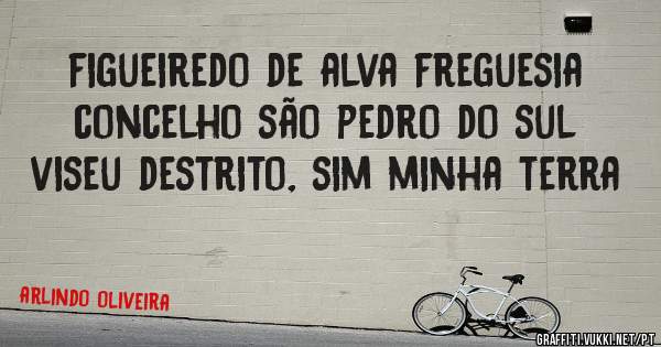 figueiredo de alva freguesia concelho são pedro do sul viseu destrito, sim minha terra