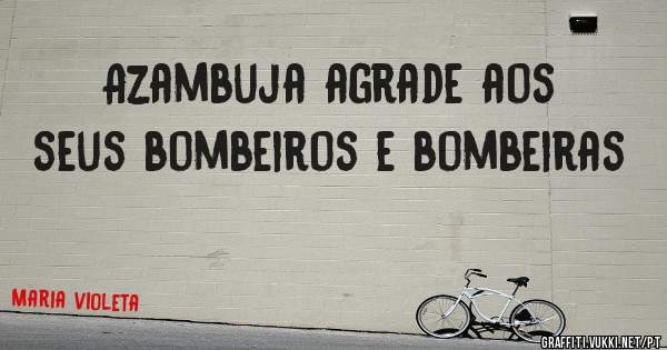 Azambuja agrade aos seus bombeiros e bombeiras