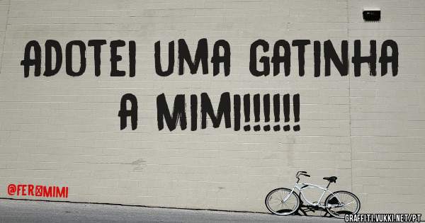 Adotei uma gatinha a Mimi!!!!!!