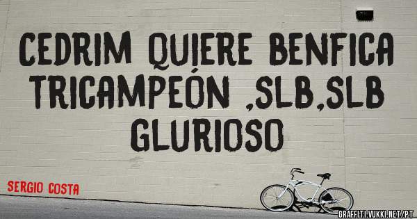 Cedrim quiere benfica tricampeón ,slb,slb glurioso 