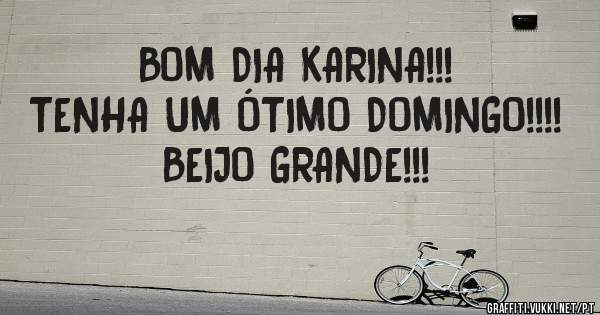 BOM DIA KARINA!!! 
TENHA UM ÓTIMO DOMINGO!!!! 
BEIJO GRANDE!!!