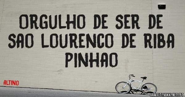 Orgulho de ser de sao lourenco de riba pinhao
