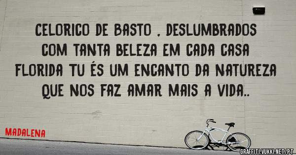Celorico de Basto , deslumbrados com tanta beleza Em cada casa florida Tu és um encanto da natureza Que nos faz amar mais a vida..