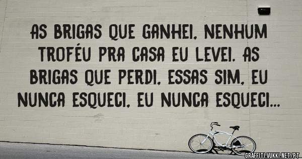 As brigas que ganhei, nenhum troféu pra casa eu levei. As brigas que perdi, essas sim, eu nunca esqueci, eu nunca esqueci...