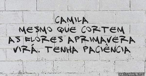 CAMILA
MESMO QUE CORTEM AS FLORES APRIMAVERA VIRÁ. TENHA PACIÊNCIA