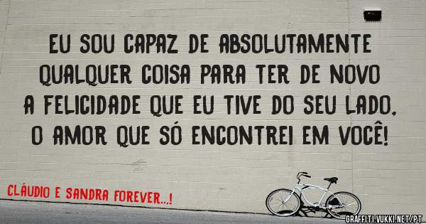 Eu sou capaz de absolutamente qualquer coisa para ter de novo a felicidade que eu tive do seu lado, o amor que só encontrei em você!