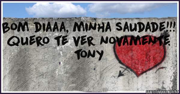 bom diaaa, minha saudade!!! quero te ver novamente.

tony