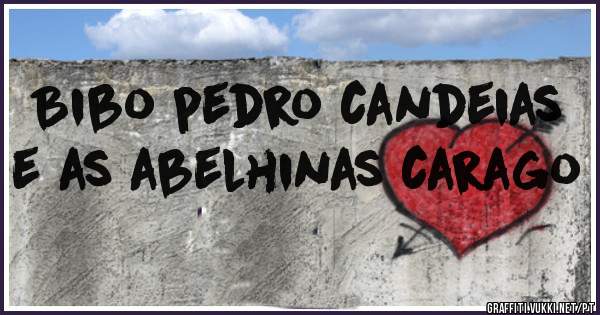 Bibo pedro candeias e as abelhinas carago