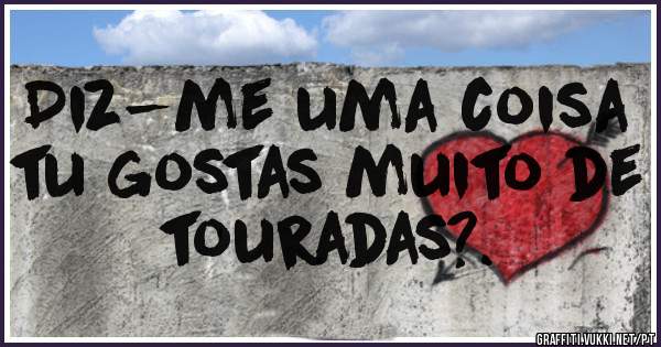 Diz-me uma coisa tu gostas muito de touradas?.